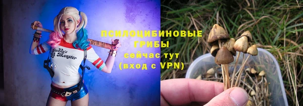 гидропоника Дмитриев