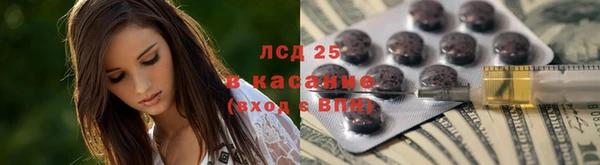 гидропоника Дмитриев