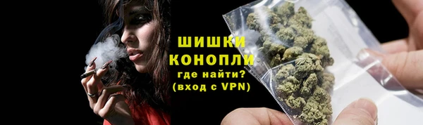 гидропоника Дмитриев