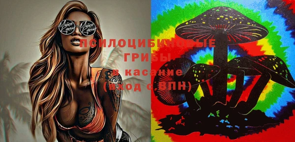синтетический гашиш Дмитровск