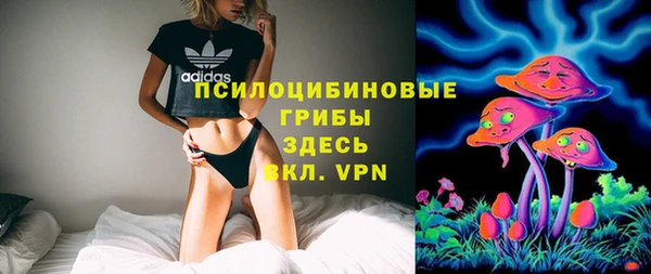 гидропоника Дмитриев