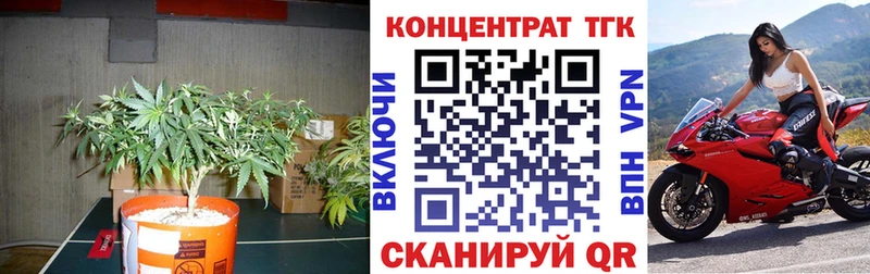 Дистиллят ТГК THC oil  Купить закладки  Пучеж 