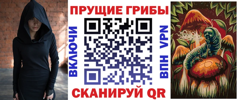Псилоцибиновые грибы Cubensis  Купить закладки  Пучеж 